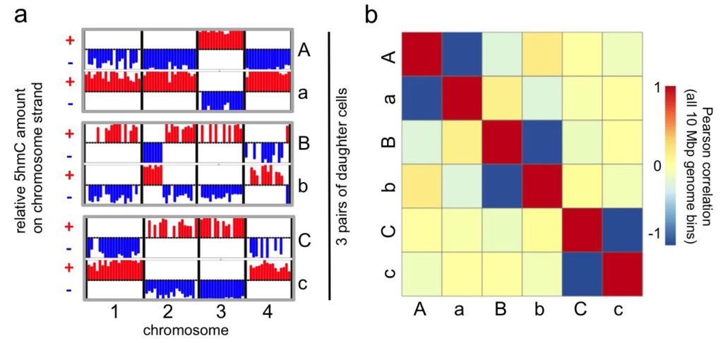 5hmC_prelim_data_fig