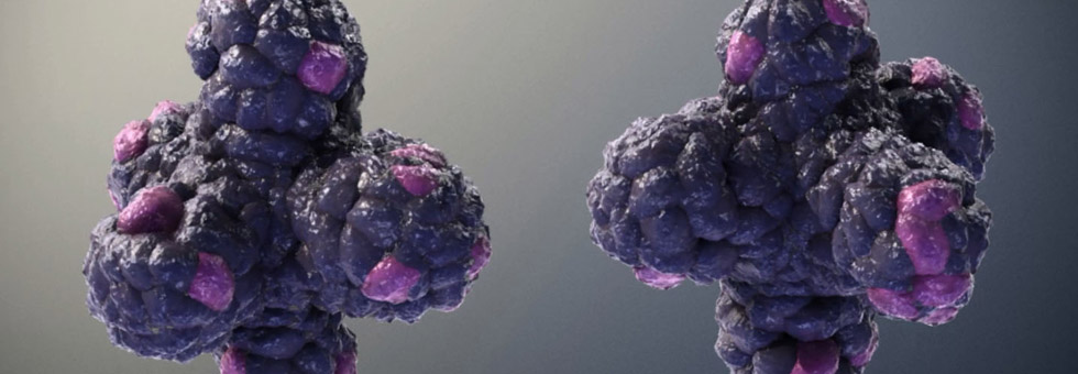 Cancer Models International collaboration to create new cancer models - Hubrecht ...