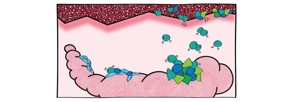 Phd thesis on colorectal cancer