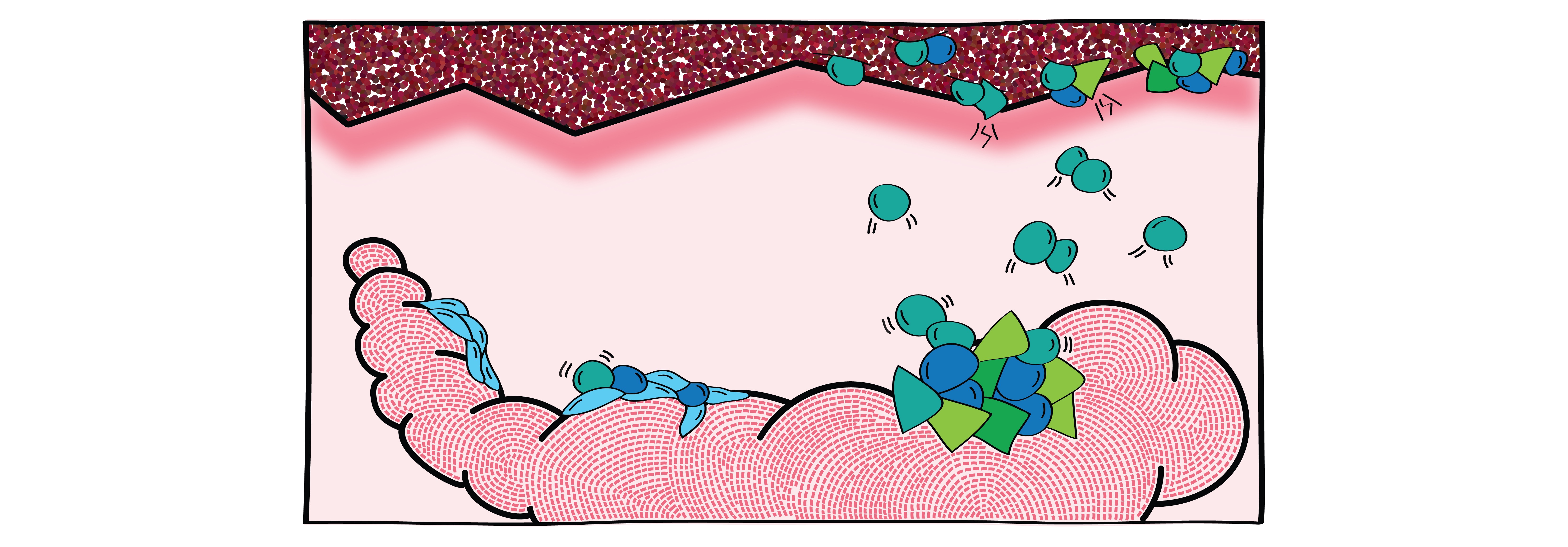 phd thesis on colorectal cancer