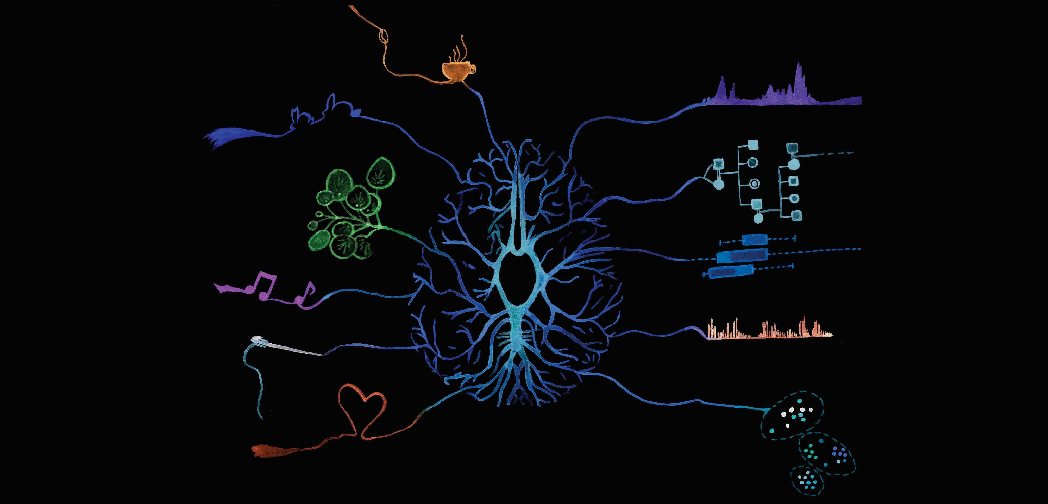 Mechanisms of post transcriptional regulation picture