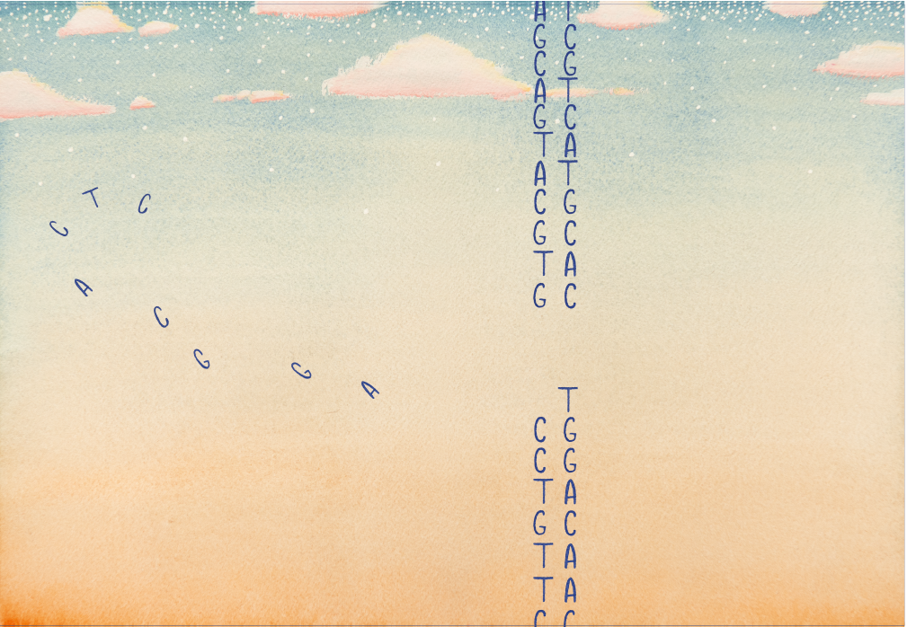 Thesis database rug image