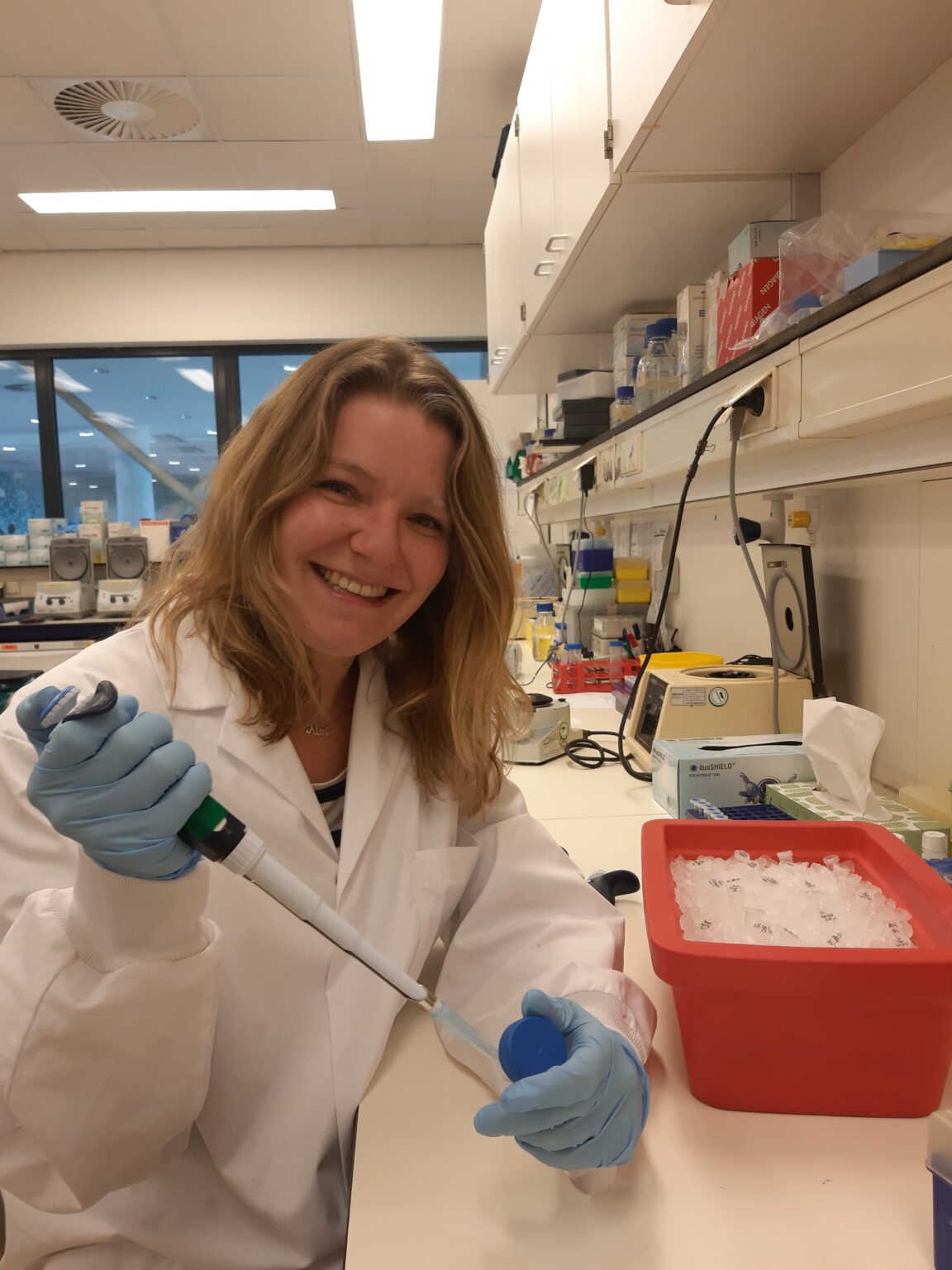 Dissertation meaning picture