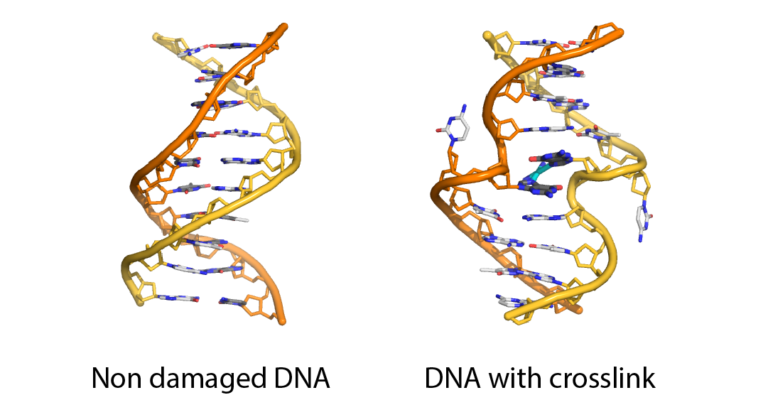 Illustration of ICL