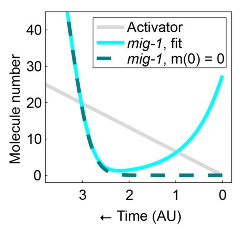 A graph showing a mathematical model