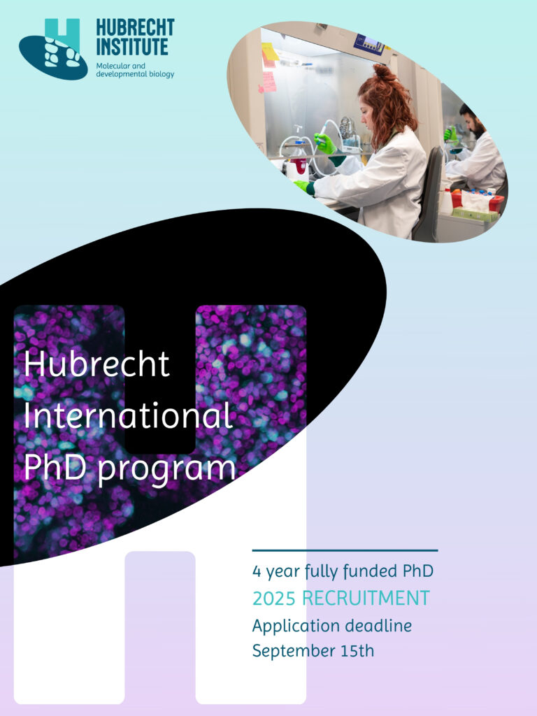 Flyer for the Hubrecht International PhD Program, featuring microscopic image and woman working in the lab. 4 year fully funded PhD. 2025 recruitment. Application deadline September 15th.