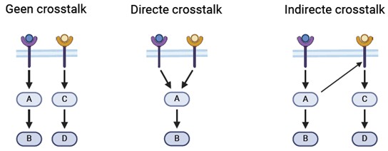 Schematische weergave van de verschillende soorten crosstalk tussen signaalroutes.
